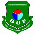 Bup Logo Term Paper