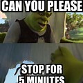 Can You Stop for 5 Minutes Meme