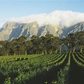 Cape Winelands Biosphere Reserve South Africa
