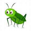 Cartoon Cricket Insect No Background