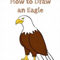 Cartoon Eagle Simple Easy