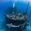 Cat Island Bahamas Sunken Ship