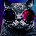 Cat Sunglasses Space Wallpaper