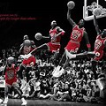 Chicago Bulls Michael Jordan Fly
