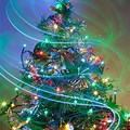Christmas Tree Images