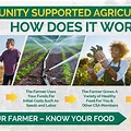 Community Supported Agriculture History AP Pictures