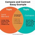 Compare and Contrast Essay Structure