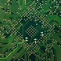 Computer Circuit Leaf