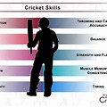 Cricket Training Technical Skills