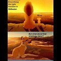 Decatur Illinois Lion King Meme