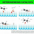Difference Between Heterogeneous Homogeneous Catalyst Drawing