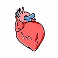 Discerning Heart Cartoon