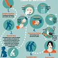 Disease Transmission Infographic