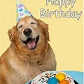 Dog Wishing Happy Birthday