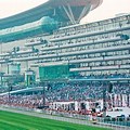 Dubai Race Track Horse Racing