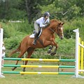 Equestrian Show Jumping