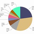 Ethnicity Pie-Chart