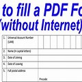 Fill a PDF Form