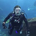 Fish Tank Scuba Diver