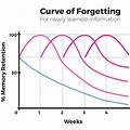 Flashbulb Memory Forgetting Curve