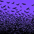Flying Bats Halloween Desktop