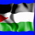 Free Palestine Greenscreen