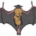 Fruit Bat Gives U the Finger Cartoon
