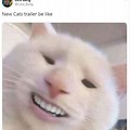 Funny Cat with Teeth Meme