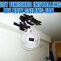 Funny Ceiling Fan