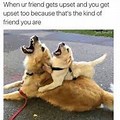 Funny Supportive Friendship Memes