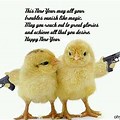 Funny Wishing You a Happy New Year