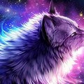 Galaxy Wolf Desktop Wallpaper
