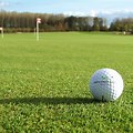 Golf Putting Green Background