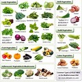 Green Mediterranean Diet Food List