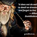 Harry Potter Book Quotes