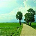 High Quality Image of Bangladesh Village
