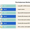 Huberman Routine Template