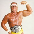Hulk Hogan Old School WWF