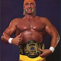 Hulk Hogan WWF World Champion