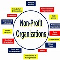 Individual Roles in Non-Profit Organization
