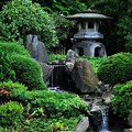 Japanese Zen Water Garden
