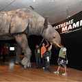 Largest Prehistoric Animal Ever Lived