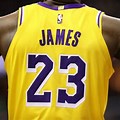 LeBron James Lakers Back View