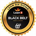 Lean Six Sigma Black Belt Icon