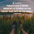 Life Gratitude Quotes
