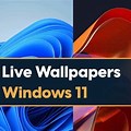 Live Wallpaper Engine for Windows 11