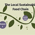 Local Sustainable Food Chain Examples