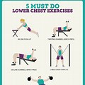 Lower Pec Workout