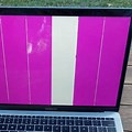 MacBook Purple and Black Screen