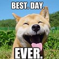 Make Today Your Best Day Ever Meme